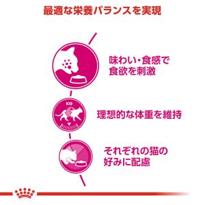 ロイヤルカナン FHN セイバー エクシジェン...の詳細画像1