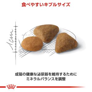 ロイヤルカナン FHN セイバー エクシジェン...の詳細画像2