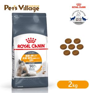 ロイヤルカナン成猫用フード2kg