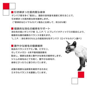 ロイヤルカナン FBN シャム 成猫用 2kg...の詳細画像3