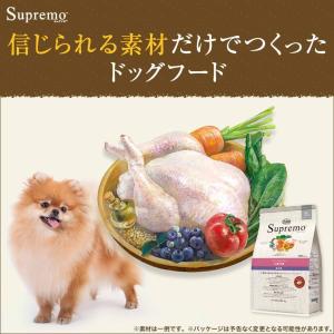 公認店 ニュートロ シュプレモ 小型犬用 成犬...の詳細画像2