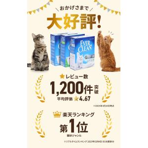 エバークリーン 無香 芳香 細粒無香 6L×3...の詳細画像2