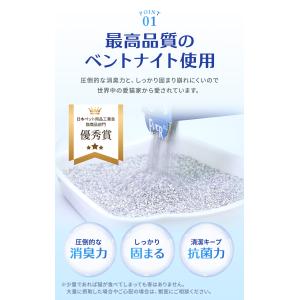 エバークリーン 無香 芳香 細粒無香 6L×3...の詳細画像3