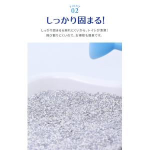 エバークリーン 無香 芳香 細粒無香 6L×3...の詳細画像4