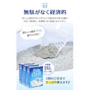 エバークリーン 無香 芳香 細粒無香 6L×3...の詳細画像5