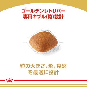 ロイヤルカナン BHN ゴールデンレトリバー ...の詳細画像3