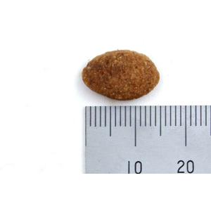 公認店 ニュートロ シュプレモ 成犬用 4kg...の詳細画像2
