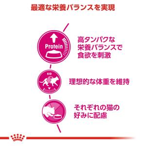 ロイヤルカナン FHN プロテイン エクシジェ...の詳細画像2
