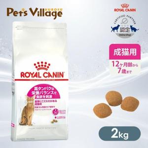 MARS ニュートロ ワイルドレシピ アダルト チキン 成猫用 2kg(猫