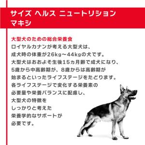 ロイヤルカナン 大型犬 15kg マキシ アダ...の詳細画像2