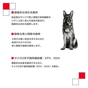 ロイヤルカナン 大型犬 15kg マキシ アダ...の詳細画像3