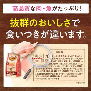 公認店 ニュートロ ナチュラル チョイス キャ...の詳細画像4