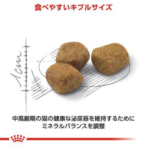 ロイヤルカナン FHN インドア 7+ 室内で...の詳細画像3
