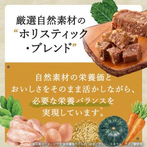 公認店 ニュートロ シュプレモ トレイ 子犬用...の詳細画像3