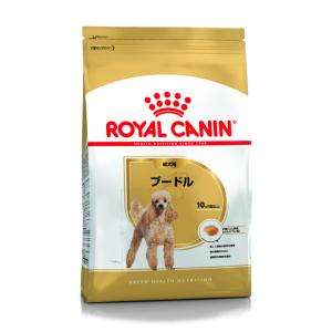 ロイヤルカナン ドッグフード BHN プードル 成犬用 10ヶ月以上 3kg｜kurosu