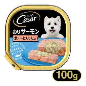 シーザー あじわいサーモン風味 ポテトとにんじん 野菜入り 100g   シ―ザ― Cesar ドッグフード ウェットフード ペットフード DOG FOOD ドックフード