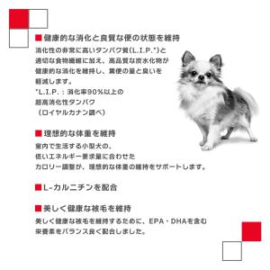 まとめ買いでお得!ロイヤルカナン SHN ミニ...の詳細画像2
