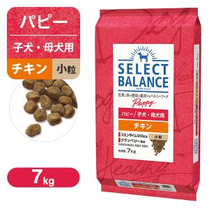 セレクトバランス パピーチキン 小粒 7kg 2袋 セレクトバランス 犬パピーチキン 小粒 7kg（4541851005937