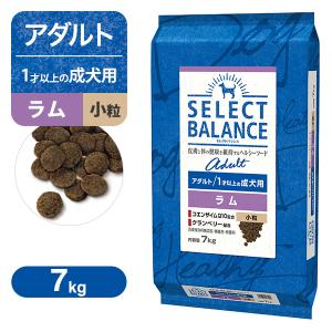 セレクトバランス アダルト（成犬用） ラム 小粒 7kg ■ ドッグフード Select Balance 1才以上の成犬用