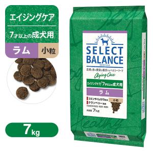 SELECT BALANCE （国産おやつ＆おまけ付き）セレクトバランス