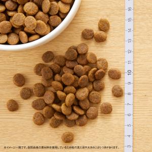 公認店 ニュートロ ワイルドレシピ 超小型犬〜...の詳細画像1