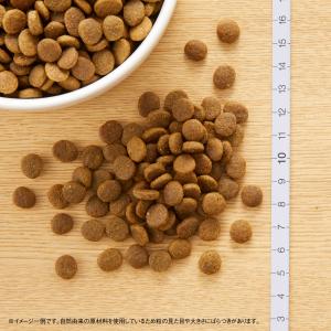 公認店 ニュートロ ワイルドレシピ 超小型犬〜...の詳細画像2