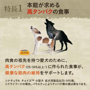 公認店 ニュートロ ワイルドレシピ 超小型犬〜...の詳細画像3