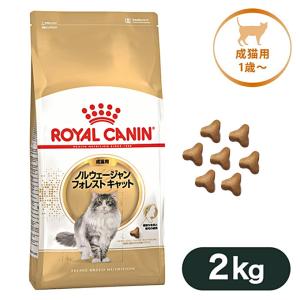 ロイヤルカナン キャットフード FBN ノルウェージャンフォレストキャット 成猫用 2kg｜kurosu