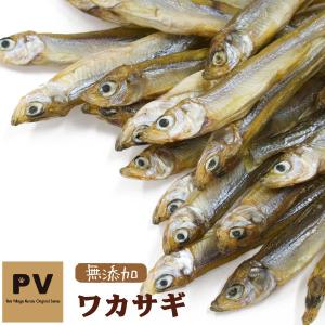 犬 おやつ 魚 無添加 国産 PV ワカサギ 50g