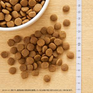 公認店 ニュートロ キャット ワイルドレシピ ...の詳細画像3