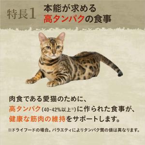 公認店 ニュートロ キャット ワイルドレシピ ...の詳細画像4