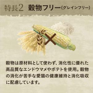 公認店 ニュートロ キャット ワイルドレシピ ...の詳細画像5