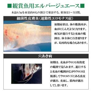 ニチドウ 観賞魚用 エルバージュエース 2gの詳細画像1