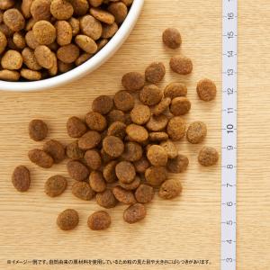 公認店 ニュートロ ワイルドレシピ 超小型犬〜...の詳細画像2