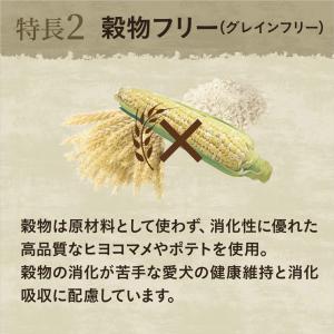 公認店 ニュートロ ワイルドレシピ 超小型犬〜...の詳細画像4