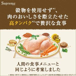 公認店 ニュートロ シュプレモ 超小型犬〜小型...の詳細画像5