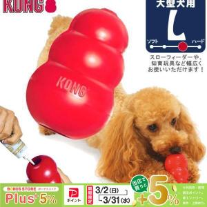 KONG（コング） コングジャパン 中型犬 成犬用 M : ペッツビレッジ