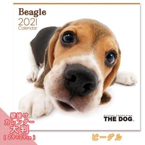 2021年 THE DOG カレンダー【大判】 ビーグル ■ 壁掛けカレンダー 写真 ポスター ザドッグ （あすつく対応） 月特