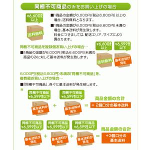 ニチドウ グリーンFクリアー 120mlの詳細画像2