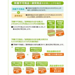 ニチドウ グリーンFクリアー 120mlの詳細画像3