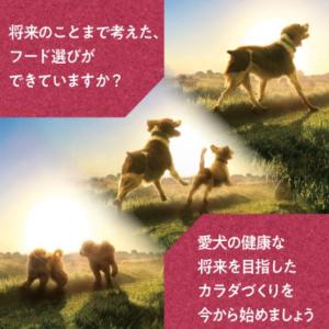 ユニチャーム フィジカライフ 成犬用 チキン&...の詳細画像2