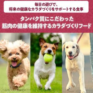 ユニチャーム フィジカライフ 成犬用 チキン&...の詳細画像3