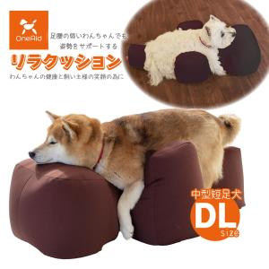 アロン化成 OneAid ワンエイド 姿勢サポートクッション S □ シニア犬