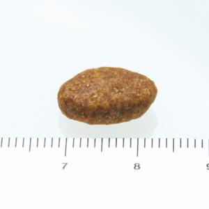 公認店 ニュートロ シュプレモ 超小型犬〜小型...の詳細画像1