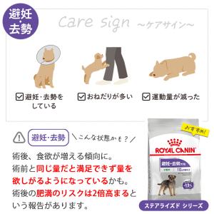 ロイヤルカナン CCN ミディアム ステアライ...の詳細画像2