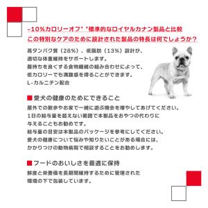 ロイヤルカナン CCN ミディアム ステアライ...の詳細画像5