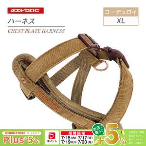 BURBERRY（バーバリー） ドッグリード 8073365 レザー バーバリー