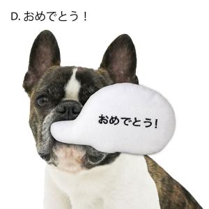 CHOCO マンダリンブラザーズ メッセージロープトイ おめでとう！ D ■ 犬用 おもちゃ ロープ 歯磨き｜kurosu