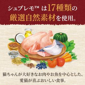 お試し 公認店 ニュートロ シュプレモ 子猫用...の詳細画像2