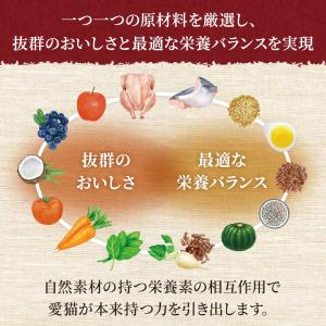 お試し 公認店 ニュートロ シュプレモ 子猫用...の詳細画像3
